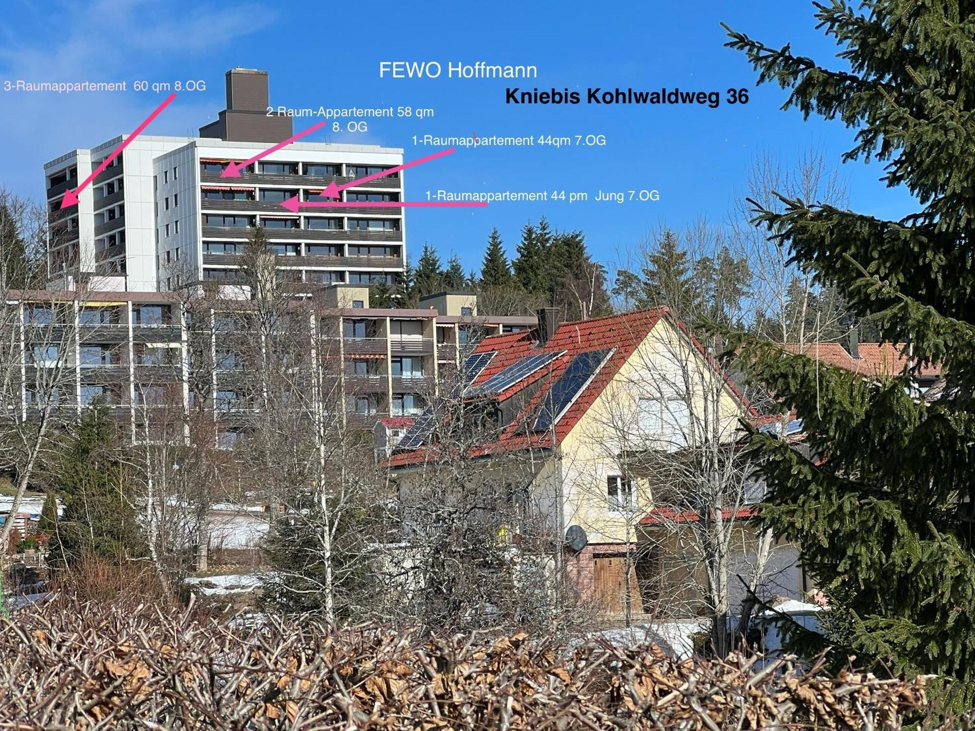 3- 2-1 - Raum - Ferienappartements Dieter Hoffmann Freudenstadt-Kniebis Beim Nationalpark Exterior photo